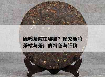 鹿鸣茶院在哪里？探究鹿鸣茶楼与茶厂的特色与评价