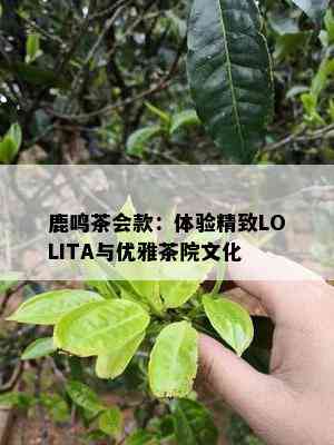 鹿鸣茶会款：体验精致LOLITA与优雅茶院文化