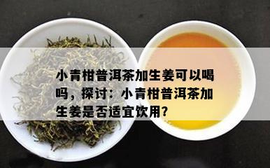 小青柑普洱茶加生姜可以喝吗，探讨：小青柑普洱茶加生姜是不是适宜饮用？