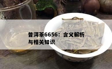 普洱茶6656：含义解析与相关知识