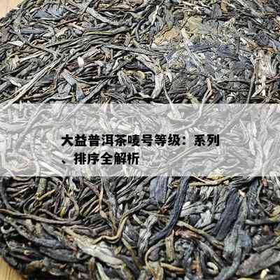 大益普洱茶唛号等级：系列、排序全解析