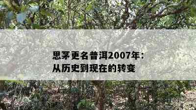 思茅更名普洱2007年：从历史到现在的转变