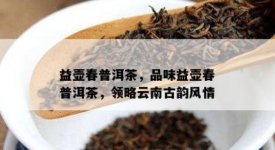 益壶春普洱茶，品味益壶春普洱茶，领略云南古韵风情