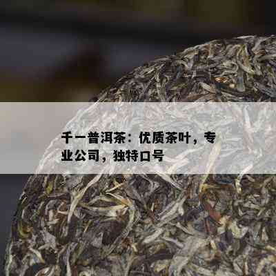 千一普洱茶：优质茶叶，专业公司，特别口号