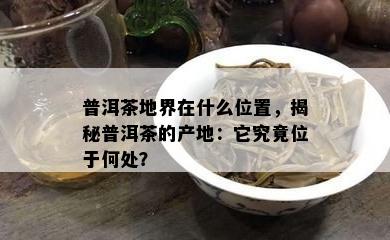 普洱茶地界在什么位置，揭秘普洱茶的产地：它究竟位于何处？