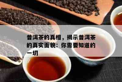 普洱茶的真相，揭示普洱茶的真实面貌：你需要知道的一切