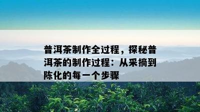 普洱茶制作全过程，探秘普洱茶的制作过程：从采摘到陈化的每一个步骤