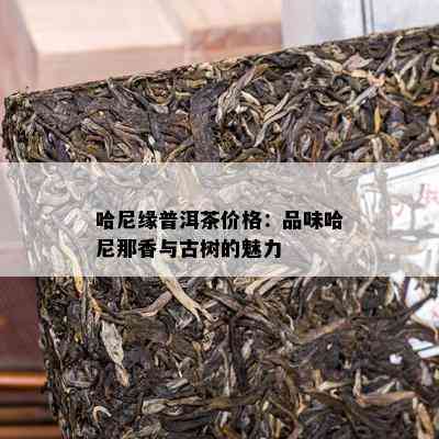 哈尼缘普洱茶价格：品味哈尼那香与古树的魅力