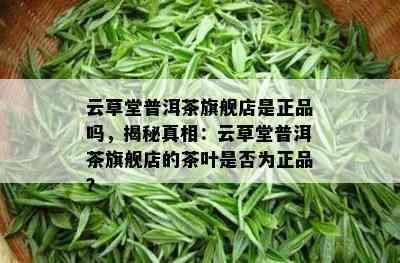 云草堂普洱茶旗舰店是正品吗，揭秘真相：云草堂普洱茶旗舰店的茶叶是否为正品？