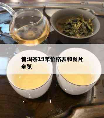 普洱茶19年价格表和图片全览