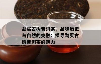 勐买古树普洱茶，品味历史与自然的交融：探寻勐买古树普洱茶的魅力