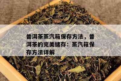 普洱茶蒸汽箱保存方法，普洱茶的完美储存：蒸汽箱保存方法详解