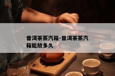 普洱茶蒸汽箱-普洱茶蒸汽箱能放多久