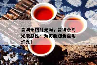 普洱茶怕灯光吗，普洱茶的光敏感性：为何要避免直射灯光？