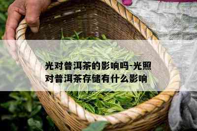 光对普洱茶的作用吗-光照对普洱茶存储有什么作用