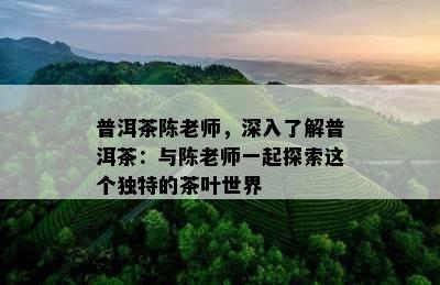 普洱茶陈老师，深入熟悉普洱茶：与陈老师一起探索这个特别的茶叶世界