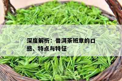 深度解析：普洱茶班章的口感、特点与特征