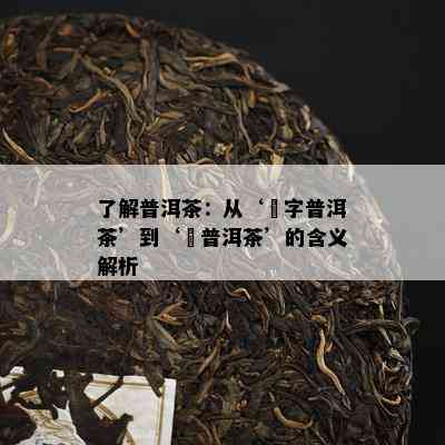 了解普洱茶：从‘楴字普洱茶’到‘槚普洱茶’的含义解析