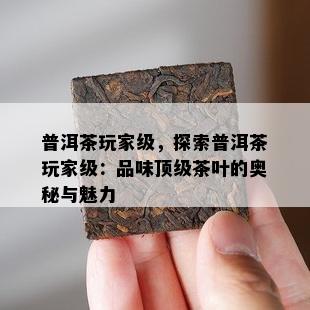 普洱茶玩家级，探索普洱茶玩家级：品味顶级茶叶的奥秘与魅力