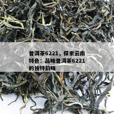 普洱茶6221，探索云南特色：品味普洱茶6221的独特韵味