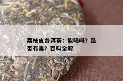 荔枝皮普洱茶：能喝吗？是否有？百科全解