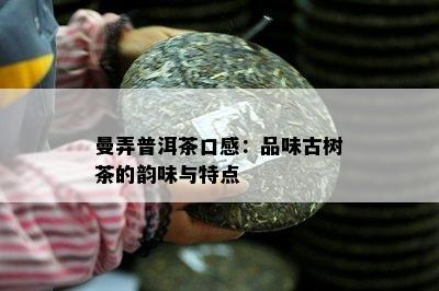 曼弄普洱茶口感：品味古树茶的韵味与特点