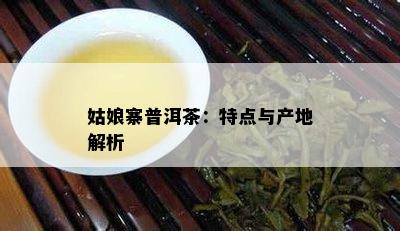 姑娘寨普洱茶：特点与产地解析