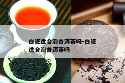 白瓷适合泡普洱茶吗-白瓷适合泡普洱茶吗