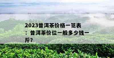 2023普洱茶价格一览表：普洱茶价位一般多少钱一斤？