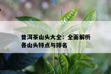 普洱茶山头大全：全面解析各山头特点与排名