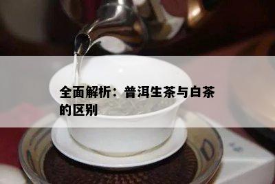 全面解析：普洱生茶与白茶的区别