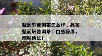 聚润轩普洱茶怎么样，品鉴聚润轩普洱茶：口感醇厚，回味悠长！