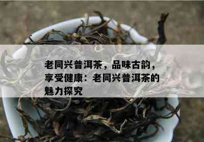 老同兴普洱茶，品味古韵，享受健康：老同兴普洱茶的魅力探究