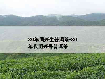 80年同兴生普洱茶-80年代同兴号普洱茶