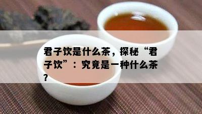 君子饮是什么茶，探秘“君子饮”：究竟是一种什么茶？