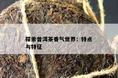 探索普洱茶香气世界：特点与特征