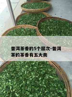 普洱茶香的5个层次-普洱茶的茶香有五大类