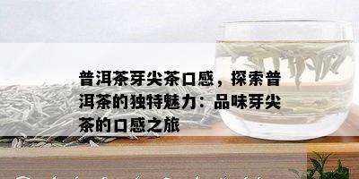 普洱茶芽尖茶口感，探索普洱茶的独特魅力：品味芽尖茶的口感之旅