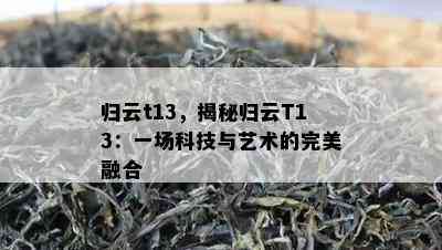 归云t13，揭秘归云T13：一场科技与艺术的完美融合