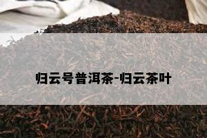 归云号普洱茶-归云茶叶