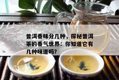 普洱香味分几种，探秘普洱茶的香气世界：你知道它有几种味道吗？