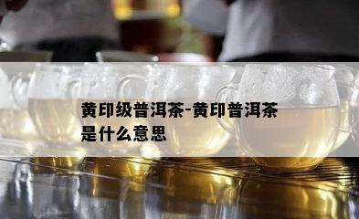 黄印级普洱茶-黄印普洱茶是什么意思