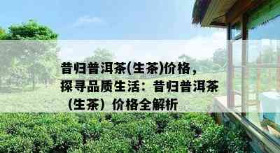 昔归普洱茶(生茶)价格，探寻品质生活：昔归普洱茶（生茶）价格全解析