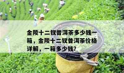 金陵十二钗普洱茶多少钱一箱，金陵十二钗普洱茶价格详解，一箱多少钱？