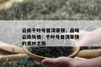 云南千叶号普洱茶饼，品味云南风情：千叶号普洱茶饼的美妙之旅