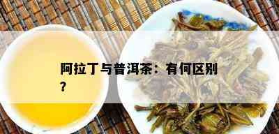 阿拉丁与普洱茶：有何区别？