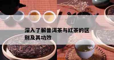 深入了解普洱茶与红茶的区别及其功效