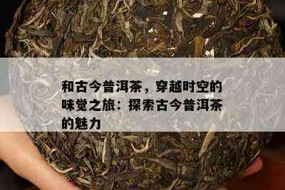 和古今普洱茶，穿越时空的味觉之旅：探索古今普洱茶的魅力