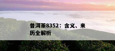 普洱茶8352：含义、来历全解析