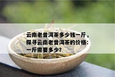 云南老普洱茶多少钱一斤，探寻云南老普洱茶的价格：一斤需要多少？